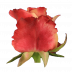 3D®