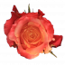 3D®