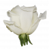 Escimo®