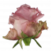 Jessika®