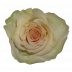 Marzipan®