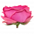 Pink Piano®